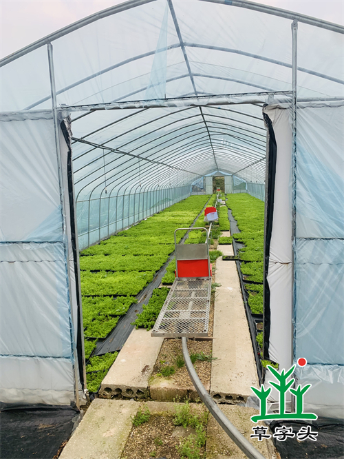 湖南金年会生态环境建设有限公司,人造草坪假草皮,湖南雨水收集处理工艺