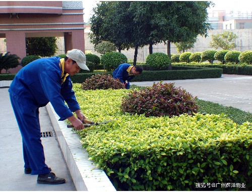 武汉东湖绿道二期绿化工程